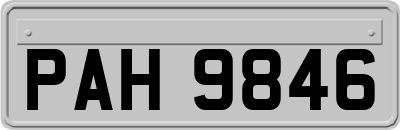 PAH9846