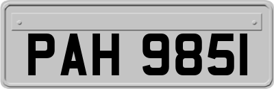 PAH9851