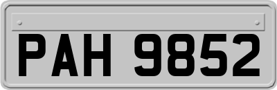 PAH9852