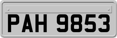PAH9853
