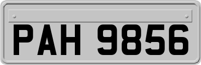 PAH9856