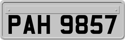 PAH9857