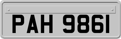 PAH9861