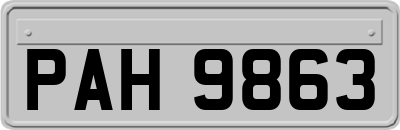 PAH9863