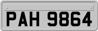 PAH9864