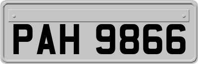 PAH9866