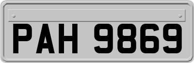 PAH9869