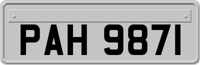 PAH9871