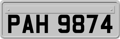 PAH9874
