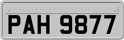 PAH9877