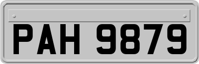 PAH9879