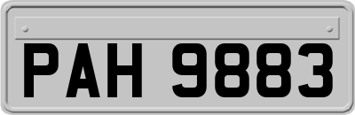 PAH9883