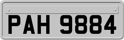 PAH9884