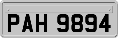 PAH9894