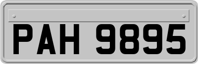 PAH9895