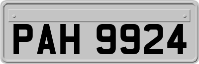 PAH9924