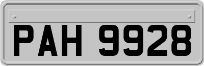 PAH9928