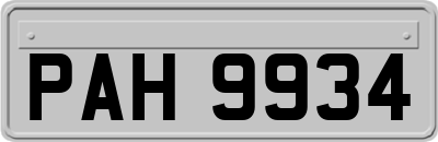 PAH9934