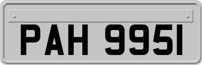 PAH9951