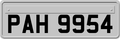 PAH9954