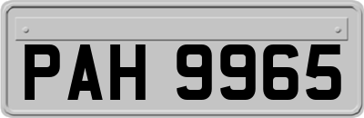 PAH9965
