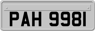 PAH9981
