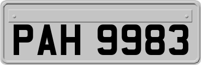 PAH9983