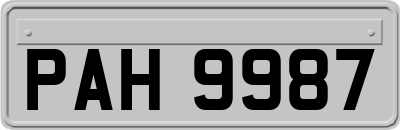 PAH9987