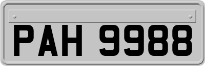 PAH9988