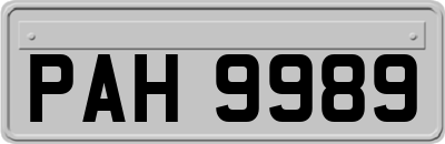 PAH9989
