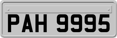 PAH9995