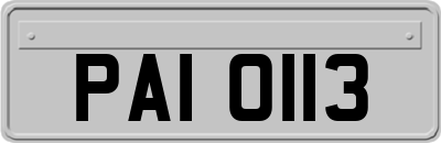 PAI0113