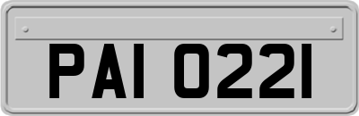 PAI0221