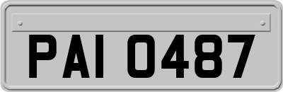 PAI0487