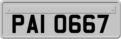 PAI0667