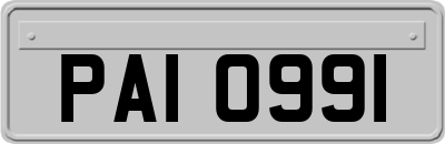 PAI0991
