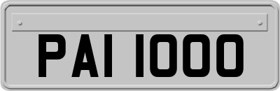 PAI1000