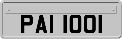 PAI1001