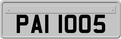 PAI1005