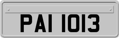 PAI1013