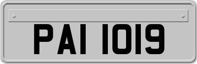 PAI1019