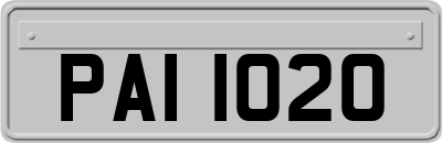 PAI1020