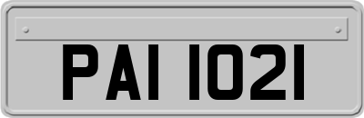 PAI1021