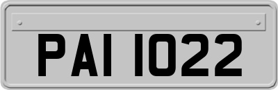 PAI1022
