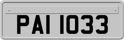 PAI1033