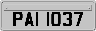 PAI1037