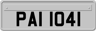 PAI1041