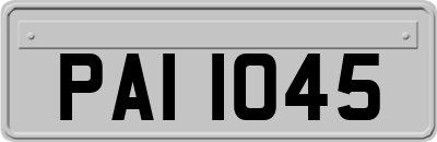 PAI1045