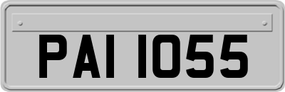 PAI1055