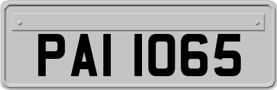 PAI1065